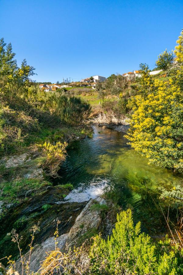 Unhais-o-Velho Aradas, Pampilhosa Da Serra, Casa Da Oliveira, Wifi, Ar Condicionado, Churrasqueira, Parqueamento, By Ig 빌라 외부 사진