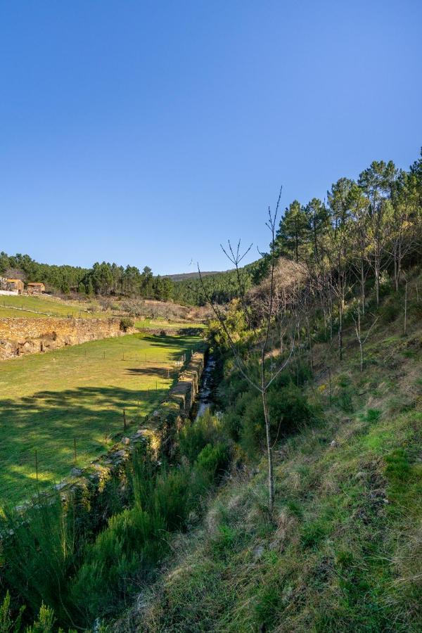 Unhais-o-Velho Aradas, Pampilhosa Da Serra, Casa Da Oliveira, Wifi, Ar Condicionado, Churrasqueira, Parqueamento, By Ig 빌라 외부 사진